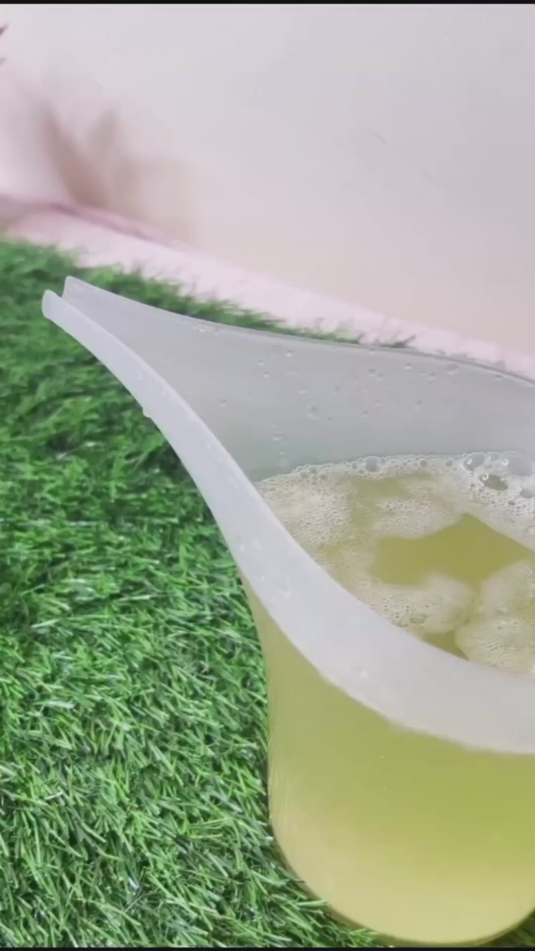 Natural Loofah in Potato Soap