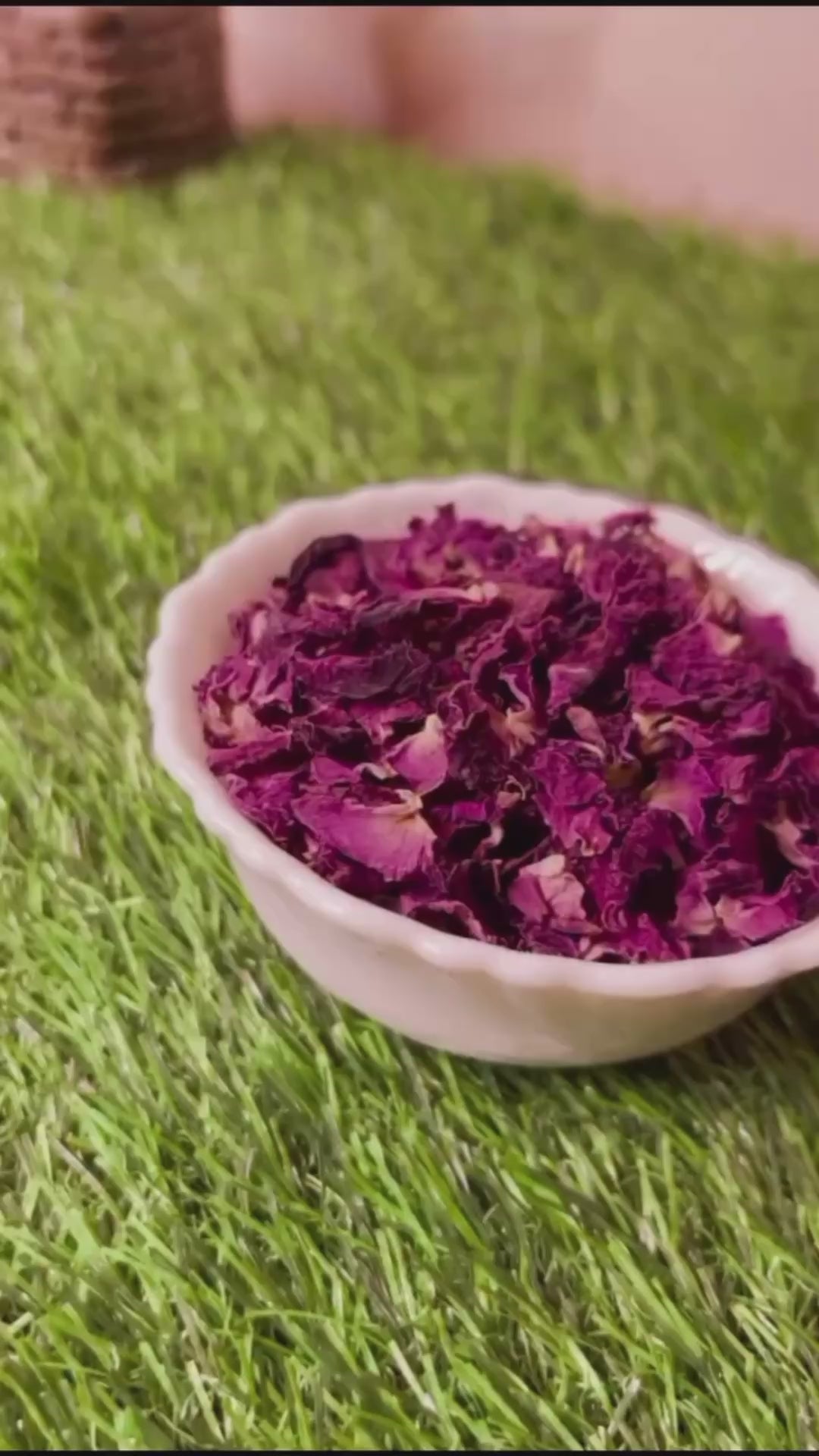 Kesha Sanjeevini Revitalizing Shampoo